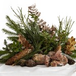 Joachim_Stilleben från skogen