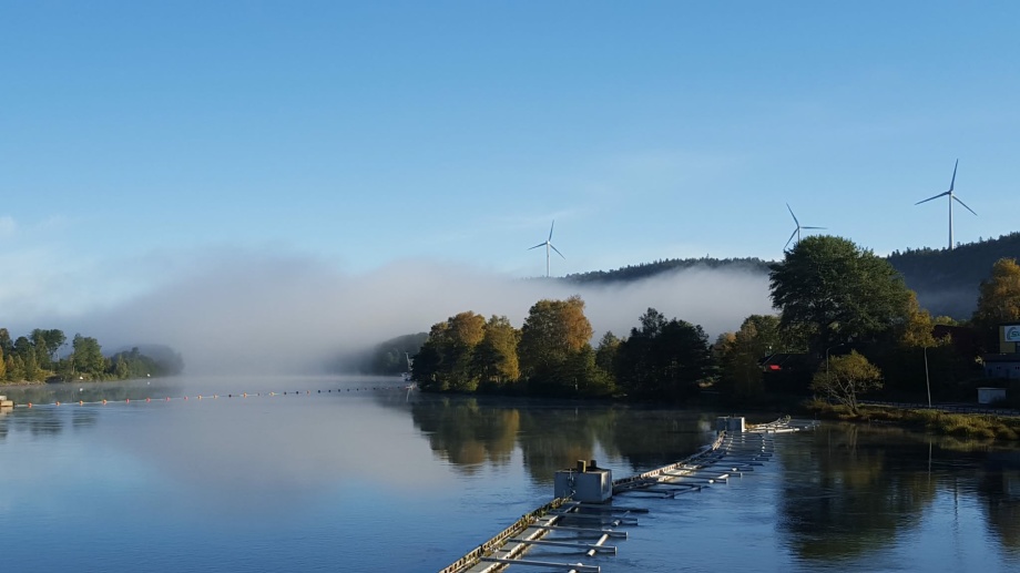 Fotograf Therese Dristig