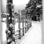 Klas_Grindstolpe Dalarna