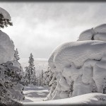 Klas_Insnöad i Sälen