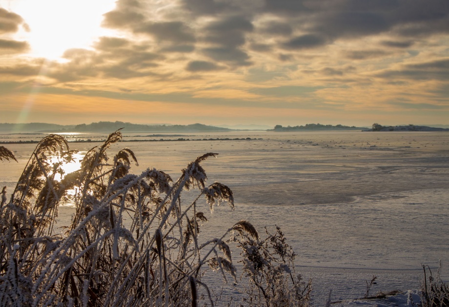 Fotograf Kerstin Martinsson