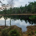 Hasse A_Lilla Iglekärrsjön i Risveden naturreservat