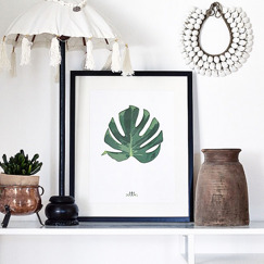 Monstera 40x40 Monstera 40x40