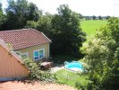 Garden with pool
