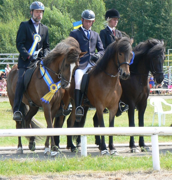 Tre fina ston vid Avelschampionatet på SM 2013. Milla från Ammor syns längst till höger. Tre fina ston vid Avelschampionatet på SM 2013. Milla från Ammor syns längst till höger.