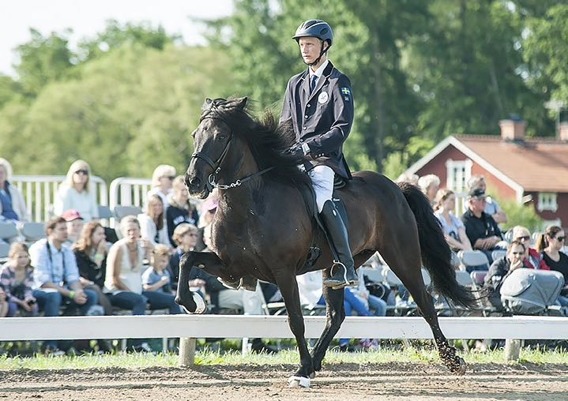 Milla från Ammor med sin nya ryttare/ägare Jack Eriksson (YR) i A-final på SM 2015. Foto www.toltaren.se Milla från Ammor med sin nya ryttare/ägare Jack Eriksson (YR) i A-final på SM 2015. Foto www.toltaren.se