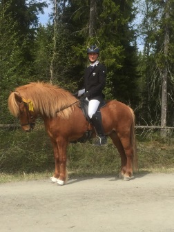 Millas son Annar från Ammor kom 3:a på sitt livs första tävling. Här med Jack Eriksson. Annar är e. Alfari från Ammor. Millas son Annar från Ammor kom 3:a på sitt livs första tävling. Här med Jack Eriksson. Annar är e. Alfari från Ammor.