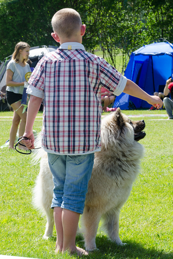 Barn med hund, här är Liam med Kelly Barn med hund, här är Liam med Kelly