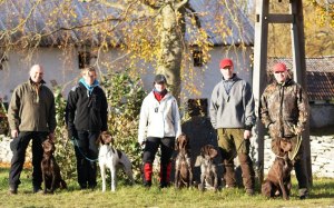 Provgruppen på söndag - Peter & Jagr, Sabine & Eddie, Jaana & Lynx, Magnus & Lisen, Svante & Milito. Foto: Sabine Tofftén