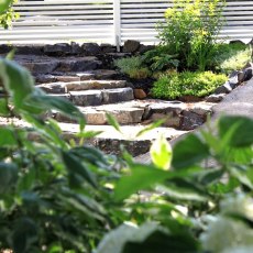 IMG_7413 IMG_7413