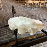 20250515 Spången; St Petri kyrka och Åbygården lantcafé (121)