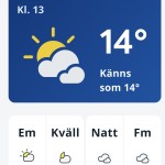 20251014 Kafferep med Hasse och Monica på Norrvikens trädgårdar (39)