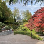 20251014 Kafferep med Hasse och Monica på Norrvikens trädgårdar (27)