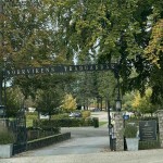 20251014 Kafferep med Hasse och Monica på Norrvikens trädgårdar  (59)