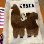 20251110 Bengt Johansson berättar om Rosa Bussarna (15)