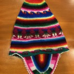 20251110 Bengt Johansson berättar om Rosa Bussarna (16)