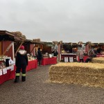 20251205 Julutfärd till Malmö, Kajuteriet i Limhamn och Katrinetorp Landeri (141) - kopia