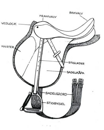 Allroundsadel Allroundsadel
