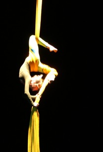 Tyg (Silks) Tyg (Silks)
