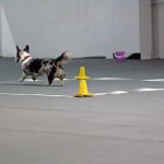 215874_10151290861520518_937685960_n
