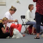 Oppet_hus_33