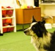 dsc03697
