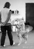dsc03711