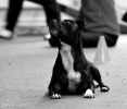 dsc03816