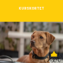 Kurskortet