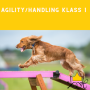 Agility handling