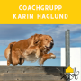 Tävlingslydnad/Brukslydnad Coach-grupp m Karin Haglund