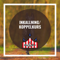 Inkallning/koppelkurs på Alingsås Hundarena