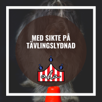 Med sikte på tävlingslydnad på Alingsås Hundarena