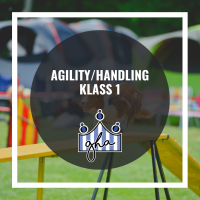 Agility handling