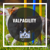 Valpagility
