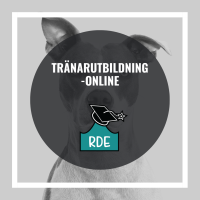 Tränarutbildning-Online