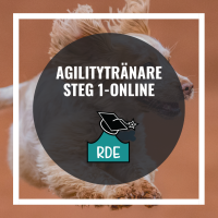 Agilitytränare Steg 1-Online