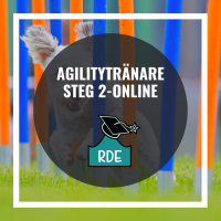 Agilitytränare Steg 2-Online
