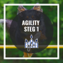 Agility steg 1 - Agility steg 1 23/5