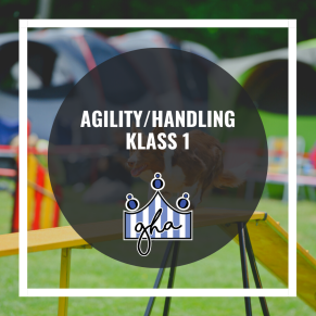 Agility handling - Handling Eva Marie 4/4 16.30