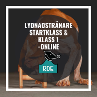 Lydnadstränare Startklass-Klass 1-Online