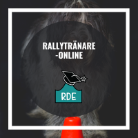 Rallytränare-Online