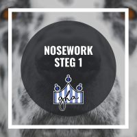 V.I.P Nosework steg 1