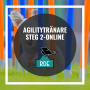 Agilitytränare Steg 2-Online - Agilitytränare Steg 2-online