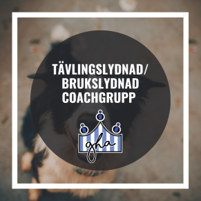 Tävlingslydnad/Brukslydnad Coach-grupp m Karin Haglund - Coachgrupp 1 17.00