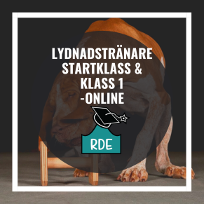 Lydnadstränare Startklass-Klass 1-Online - Lydnadstränare Startklass-Klass 1-online