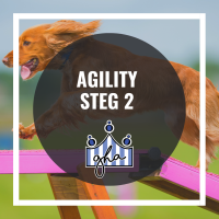 Agility steg 2
