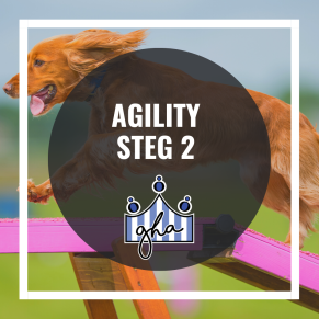 Agility steg 2 - Agility steg 2  7/3
