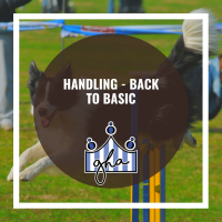 Handling - Back to Basic