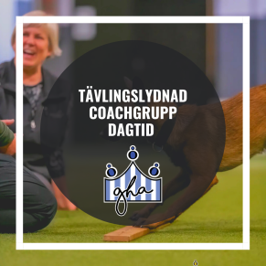 Coachgrupp Tävlingslydnad-dagtid - Coachgrupp Tävlingslydnad-dagtid Tina